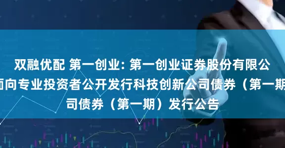 双融优配 第一创业: 第一创业证券股份有限公司2025年面向专业投资者公开发行科技创新公司债券（第一期）发行公告